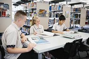 students studying in library